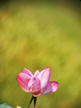 美麗中國之蕪湖
