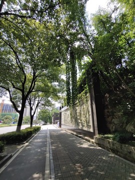 綠植