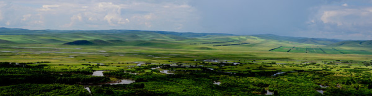 額爾古納濕地