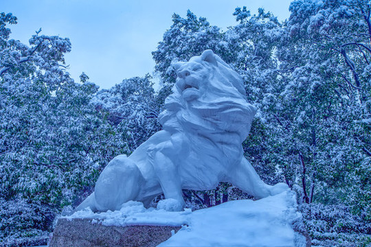 合肥市銀河公園雪景