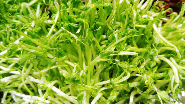 豆芽菜