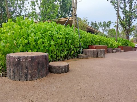 園林景觀