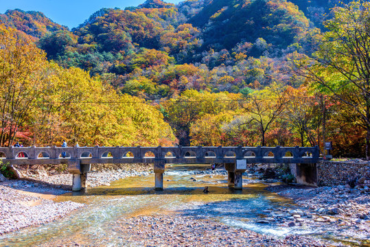中國遼寧丹東蒲石河森林公園