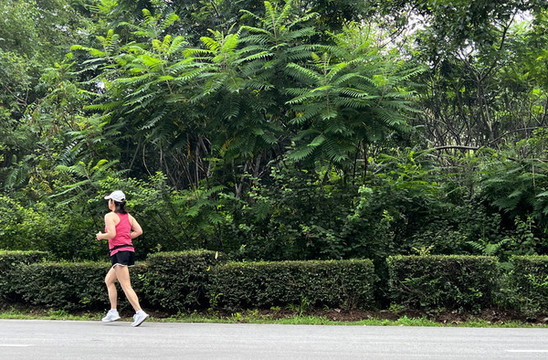 清晨跑步的女人