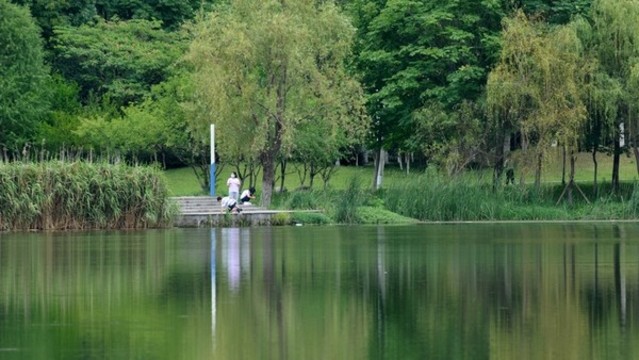 廬江城東水體公園