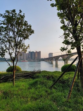 平南西江大橋