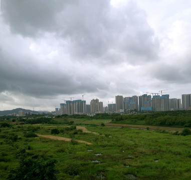 深圳光明濕地風(fēng)光