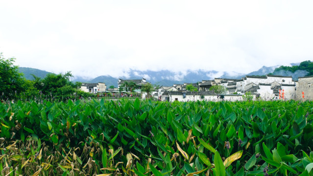 宏村