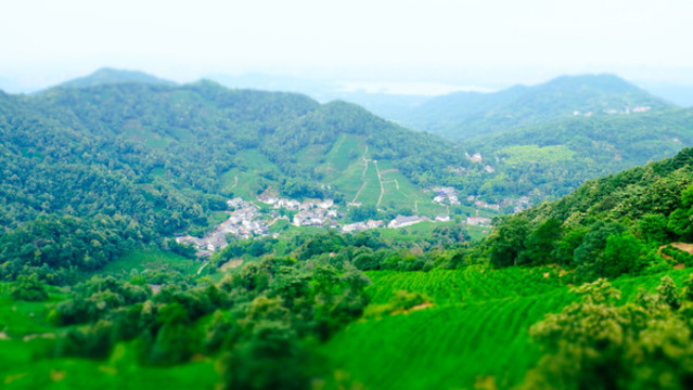 西湖龍井村