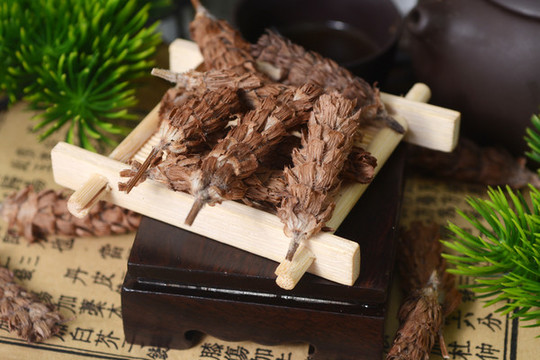 中草藥夏枯草