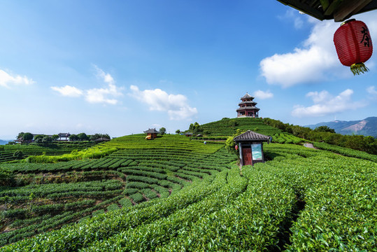 廣西柳州三江布央仙人山