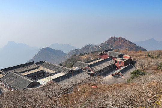 泰山