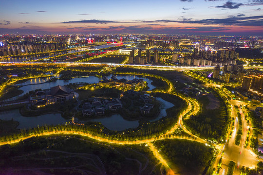 世博園夜景