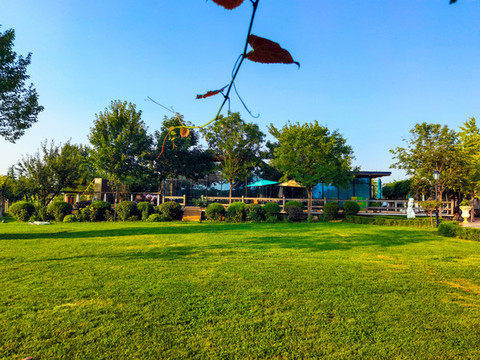葡萄小鎮(zhèn)葡萄種植基地采摘園