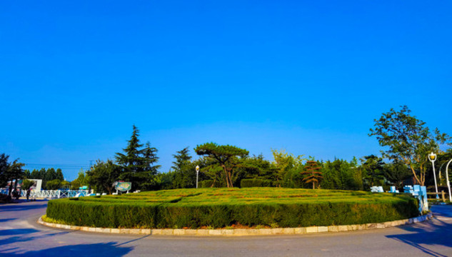 葡萄小鎮(zhèn)葡萄種植基地