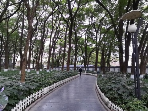 城市公園