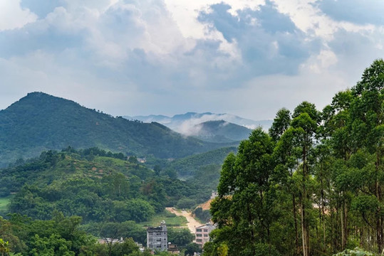 山野風(fēng)貌