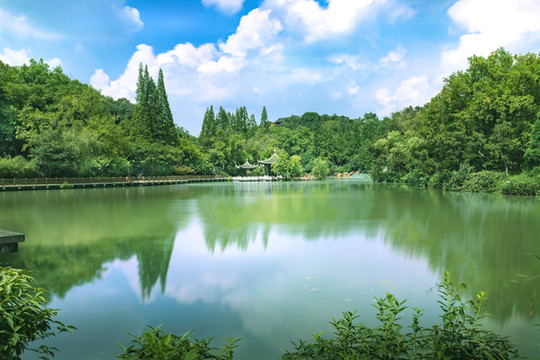 瘦西湖