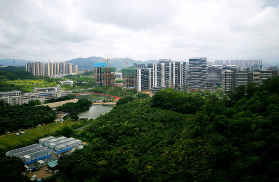 俯視城市建筑