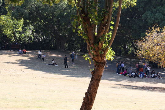 深圳蓮花山公園