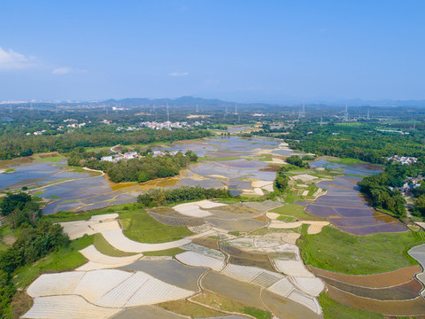 田園田野