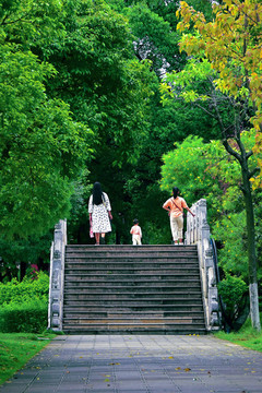 云南蒙自南湖公園一角