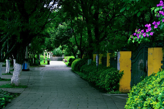 云南蒙自南湖公園一角