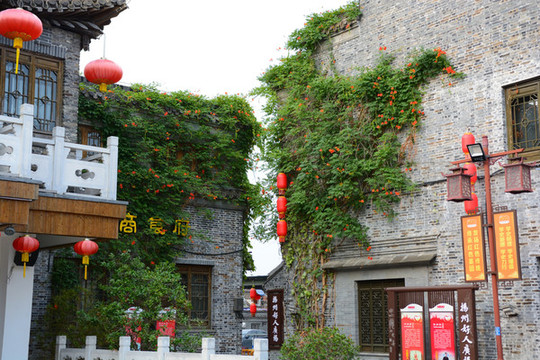 揚(yáng)州個(gè)園