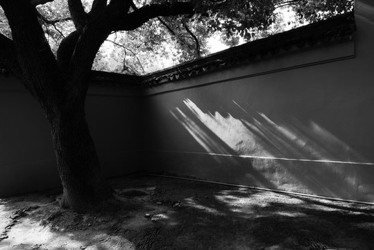 西園寺