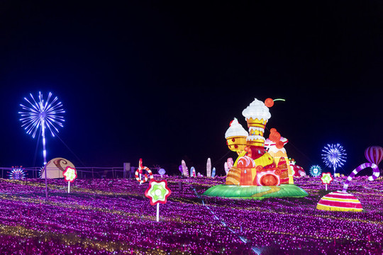 夢幻燈彩燈展