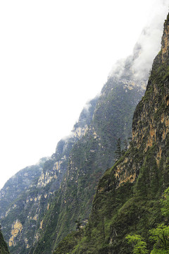 高山