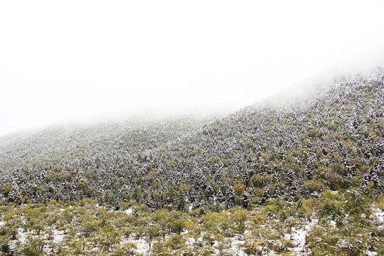 雪