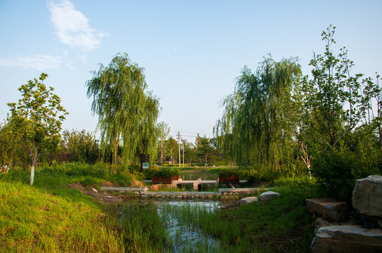水渠