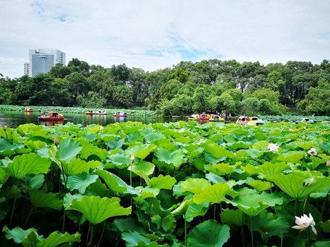 生態(tài)公園