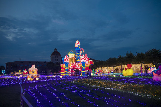 夢幻燈彩燈展夜景