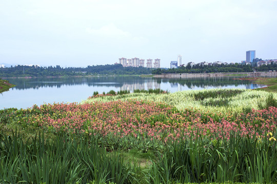 昆明安寧寧湖