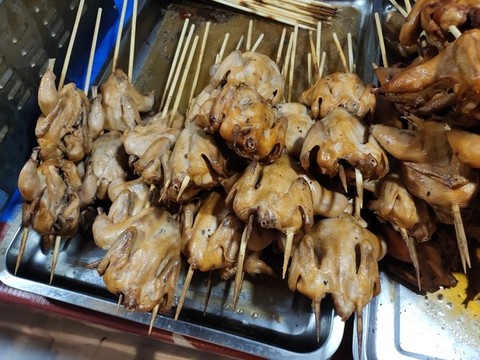 醬鴿