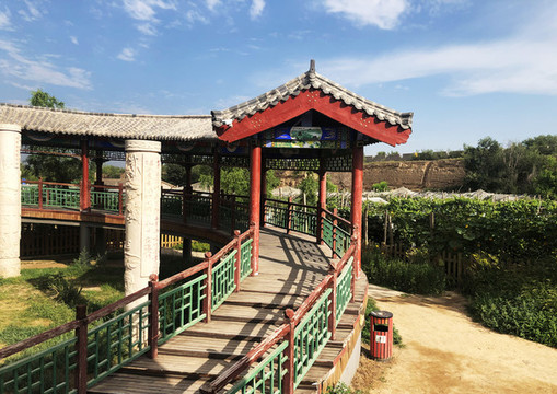 葡萄園長廊