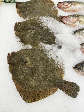 冰鮮多寶魚(yú)