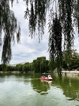 公園劃船湖水