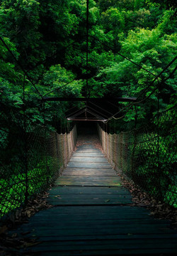 小橋風(fēng)景