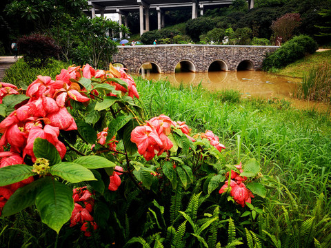 河道孔橋