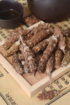 中草藥夏枯草