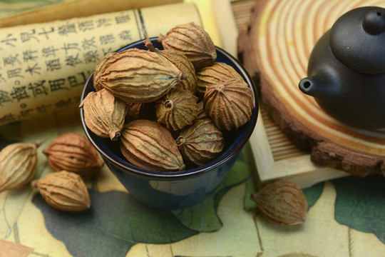 中草藥砂仁
