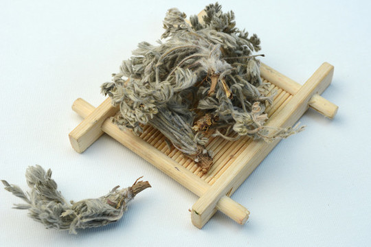 中草藥茵陳
