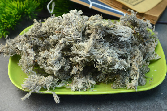 中草藥茵陳