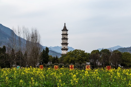 杭州新葉古村