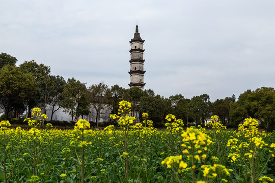 杭州新葉古村