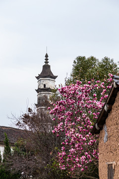 杭州新葉古村