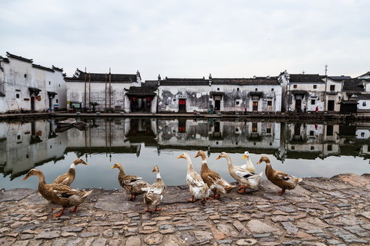 杭州新葉古村